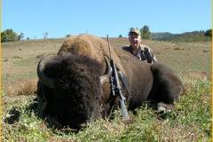 bison2