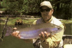 09trout1