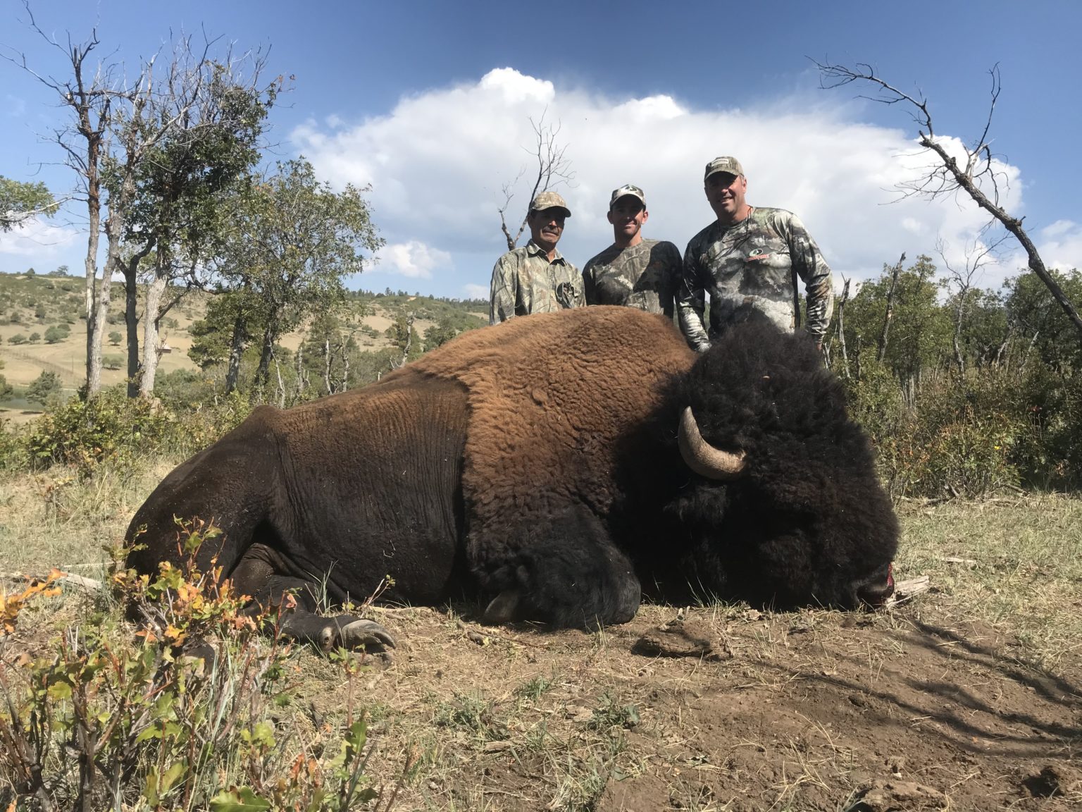 Trophy Bison Hunts Lodge at Chama