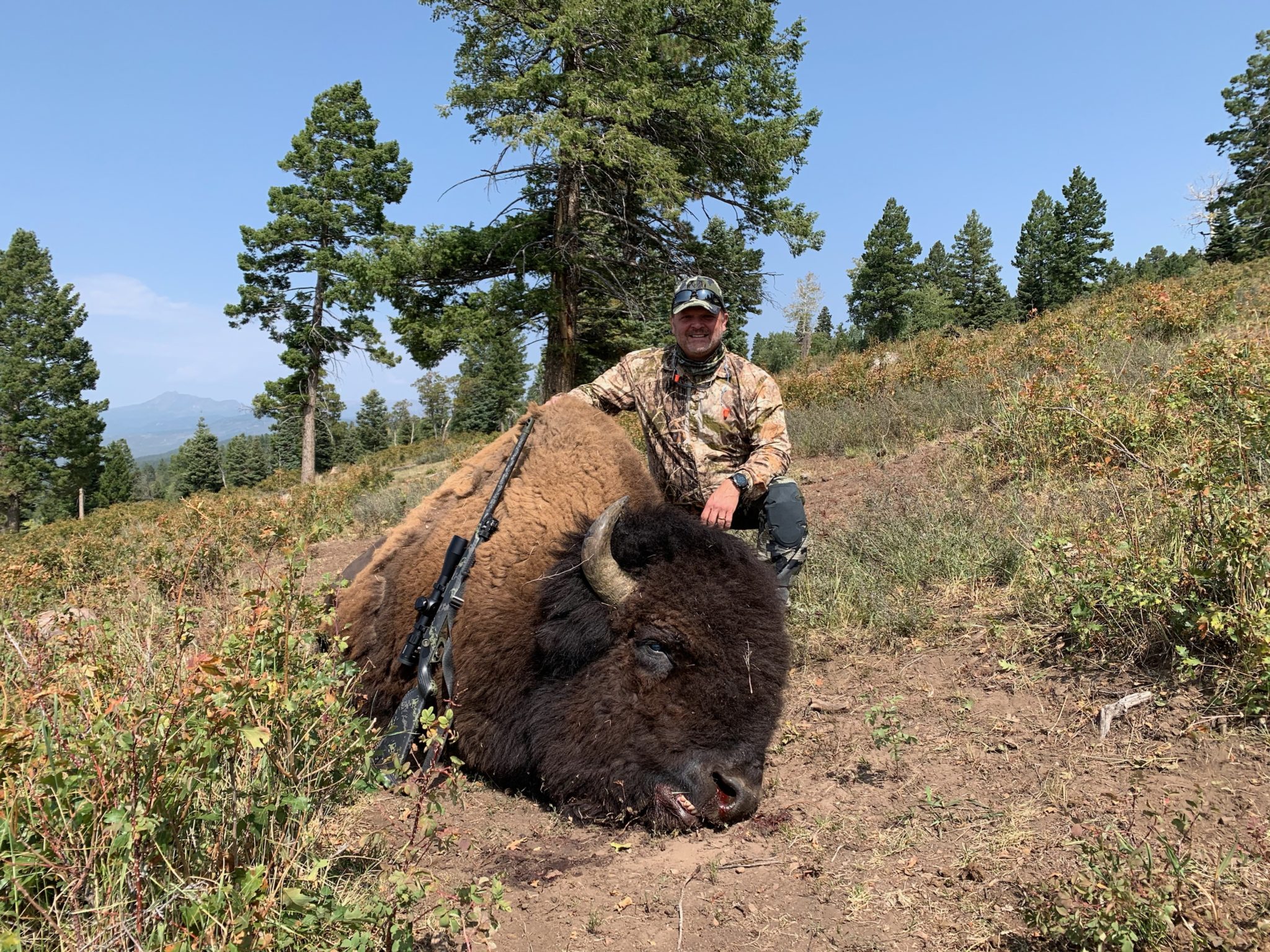 Trophy Bison Hunts Lodge at Chama