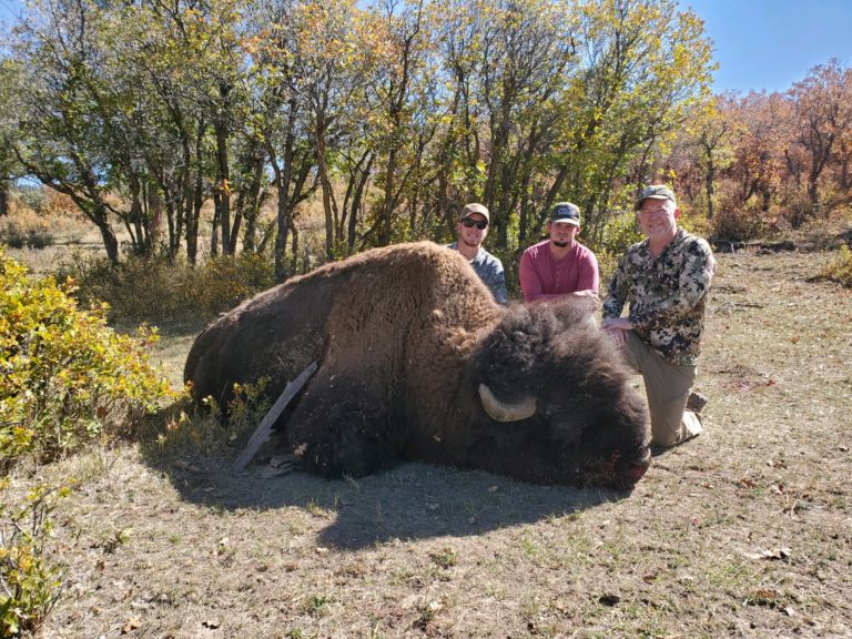 Trophy Bison Hunts Lodge at Chama