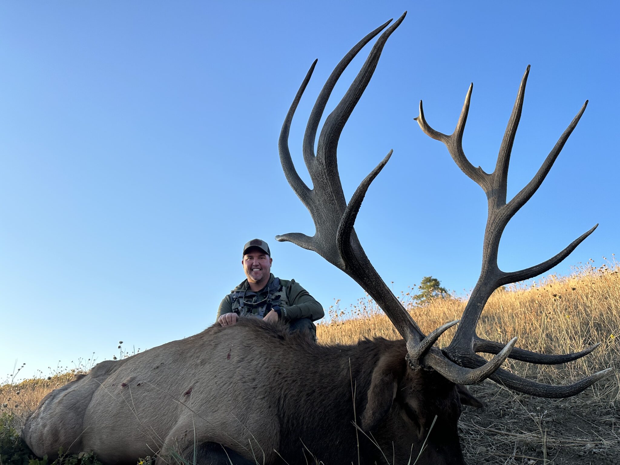 Elk, Bison and Mule Deer Hunts Lodge at Chama